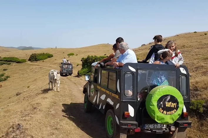 Southwest Tour - Safari Madeira