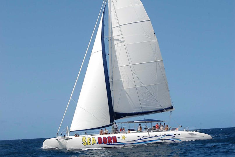 SeaBorn Catamaran