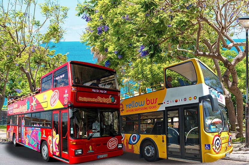 Sightseeing Buses