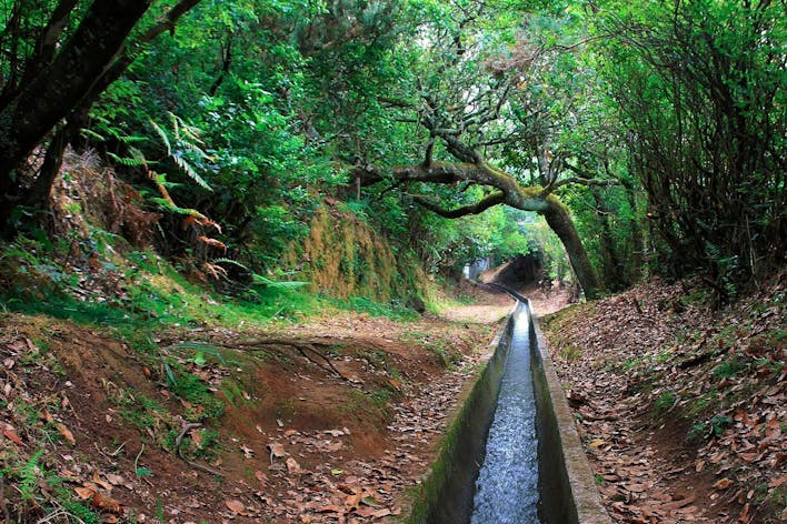 Ribeiro Frio / Portela